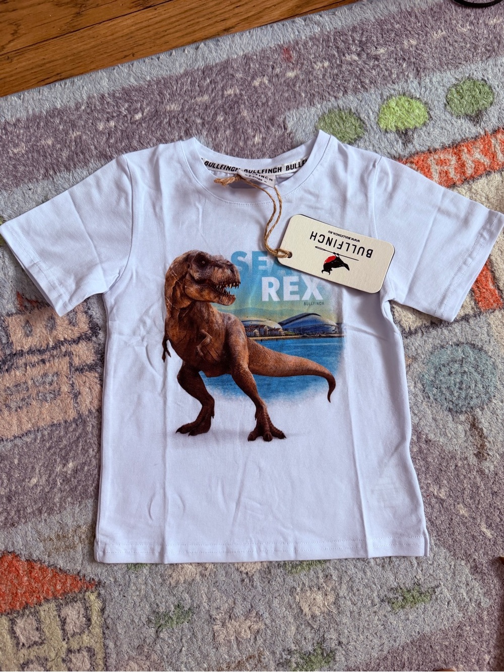 Bullfinch Kids T-Rex Graphic T-Shirt NWT